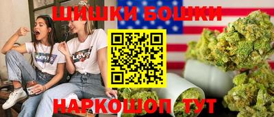 индика Комсомольск-на-Амуре