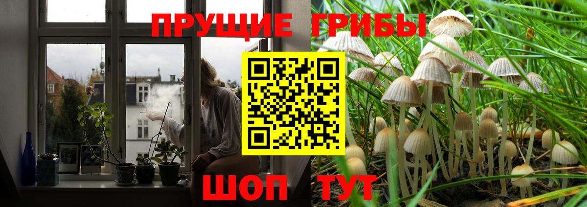 Псилоцибиновые грибы Cubensis  Вход с VPN  цена наркотик  Черкесск 