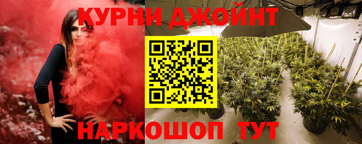 МАРИХУАНА семена Черкесск